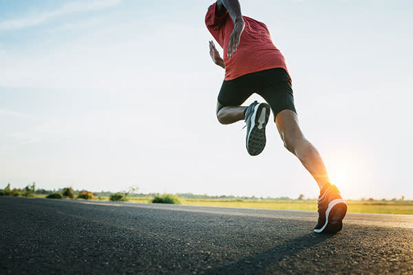 운동 없는 다이어트